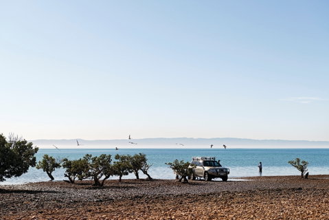 Camping At Point Lowly & Fitzgerald Bay - Nambucca Heads Accommodation 0