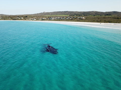 Cheynes Beach Caravan Park - Nambucca Heads Accommodation 3