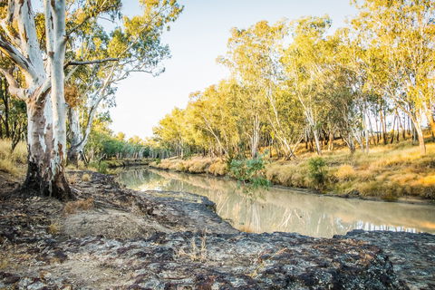 Condamine River Caravan Park - Nambucca Heads Accommodation 1