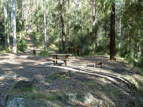 Gap Creek Campground - Nambucca Heads Accommodation 1