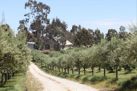 L'Oliveraie - Nambucca Heads Accommodation 2