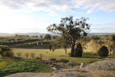 L'Oliveraie - Nambucca Heads Accommodation 3