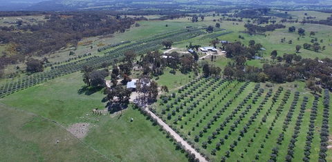 L'Oliveraie - Nambucca Heads Accommodation 6