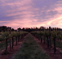 Milawa Vineyard Views