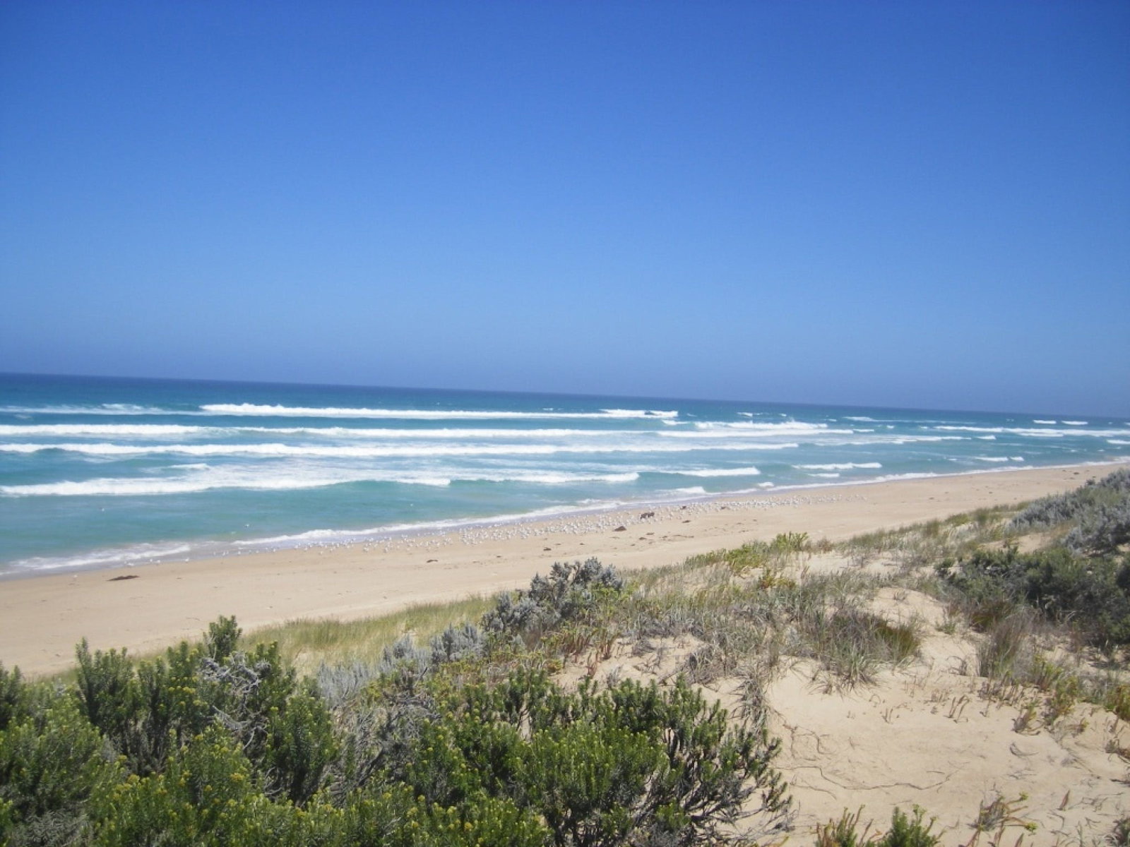 Canunda SA Nambucca Heads Accommodation