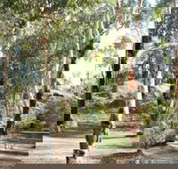 Bald Hill  Camp at Avon Valley National Park - Nambucca Heads Accommodation