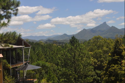 Ecoasis - Nambucca Heads Accommodation 0