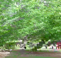 Hill End Holiday Ranch - Nambucca Heads Accommodation