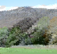 Jessica's Guest House and Vineyard - Nambucca Heads Accommodation