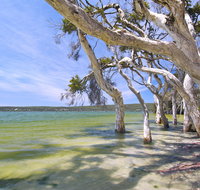 Margaret Cove Camp at Stokes National Park - Nambucca Heads Accommodation
