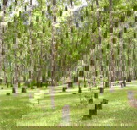 Nymboida River campground - Nambucca Heads Accommodation