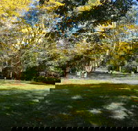 Scenic Rim Adventure Park - Nambucca Heads Accommodation