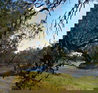 Yanda campground - Nambucca Heads Accommodation