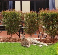 Alpha Canberra Hotel - Nambucca Heads Accommodation