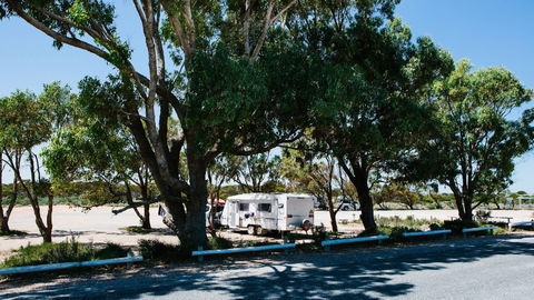 Haslam Campground - Nambucca Heads Accommodation 2