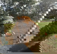 Mudgees Getaway Cottages - Nambucca Heads Accommodation