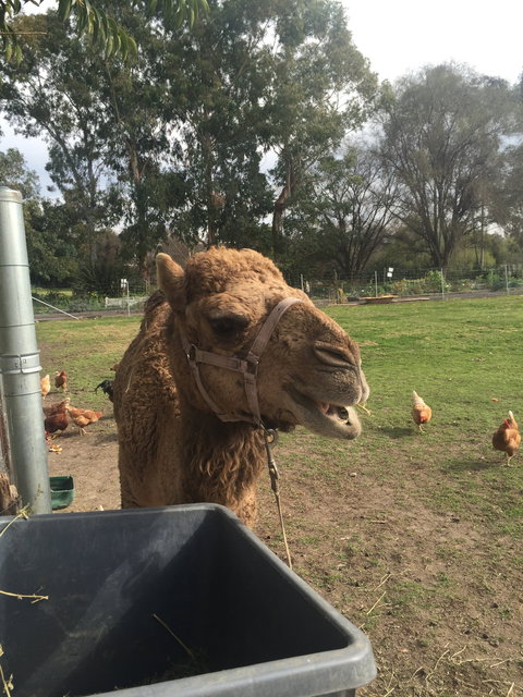 Mudgees Getaway Cottages - Nambucca Heads Accommodation 0