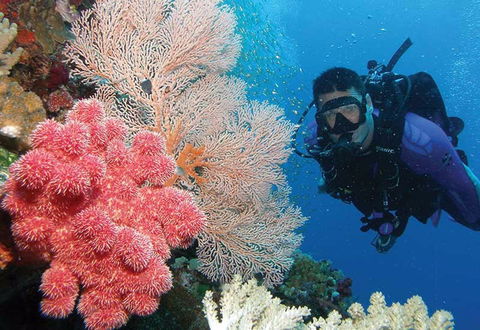 NRMA Palm Cove Holiday Park - Nambucca Heads Accommodation 2