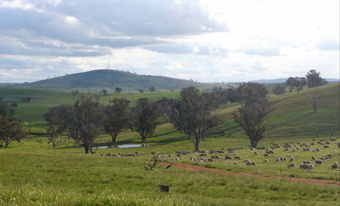 Wantana Cottage Farm Stay - Nambucca Heads Accommodation 0