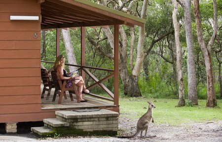 Hungry Head Cabins - Nambucca Heads Accommodation 1