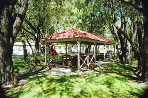 Amblin Caravan Park - Nambucca Heads Accommodation 2