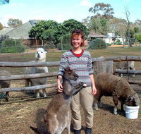 Kemminup Farm - Nambucca Heads Accommodation