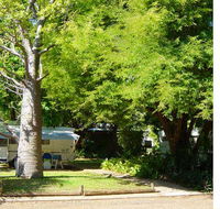 Town Caravan Park - Nambucca Heads Accommodation