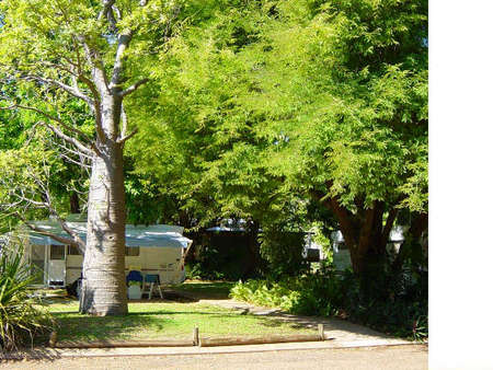 Town Caravan Park - Nambucca Heads Accommodation 0