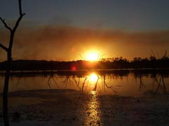 Town Caravan Park - Nambucca Heads Accommodation 2
