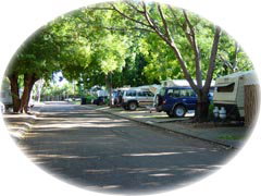 Town Caravan Park - Nambucca Heads Accommodation 5