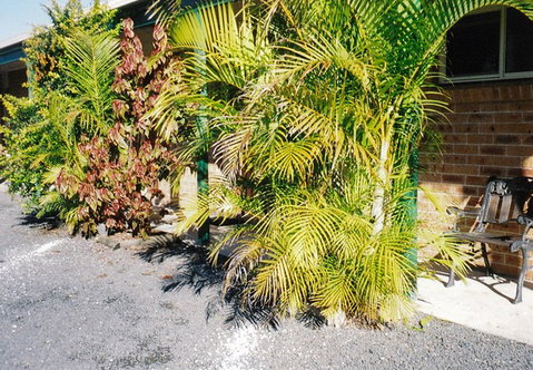 Bulahdelah Myall Motel - Nambucca Heads Accommodation 4