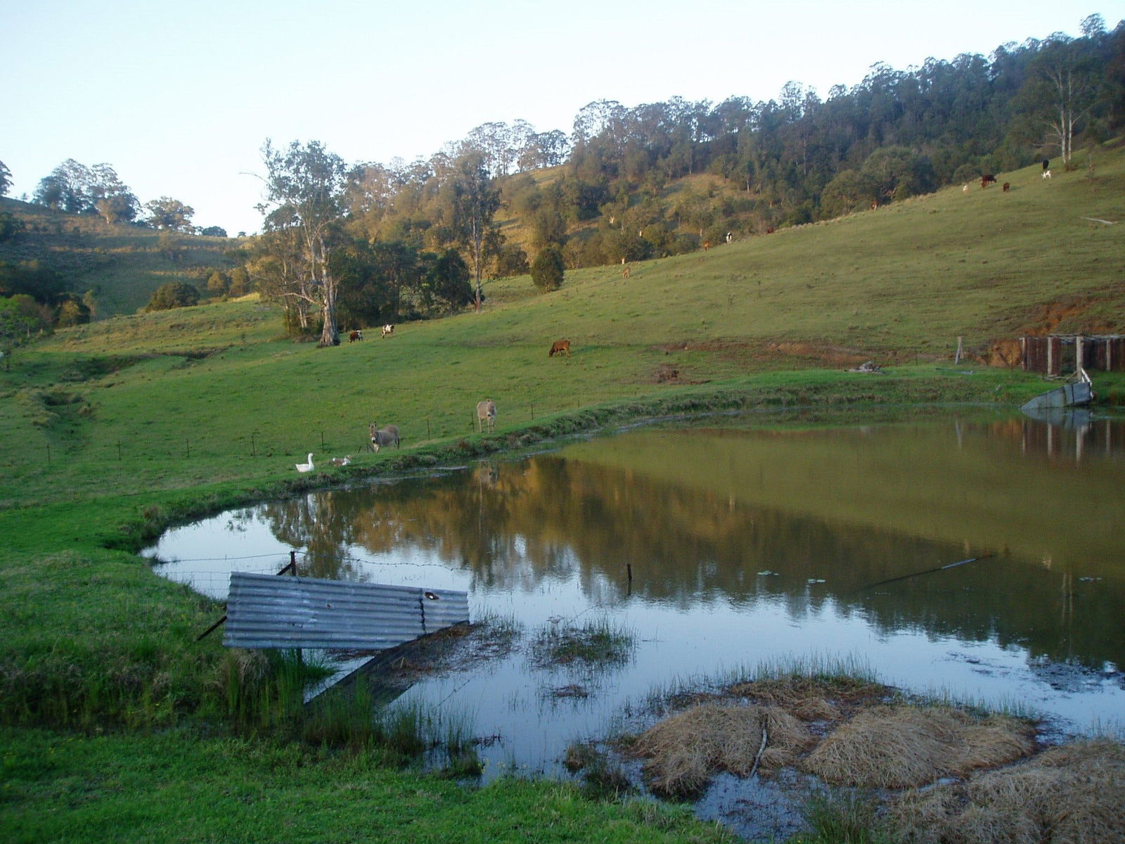 Bucca Wauka NSW Nambucca Heads Accommodation