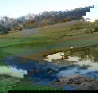 Barkeldine Farm Country Retreat - Nambucca Heads Accommodation