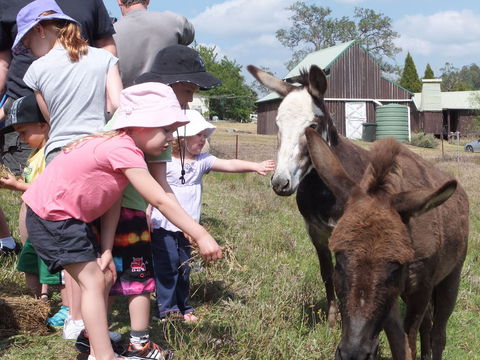 Barkeldine Farm Country Retreat - Nambucca Heads Accommodation 2