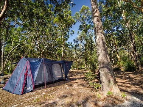 Boomeri Campground - Nambucca Heads Accommodation 1