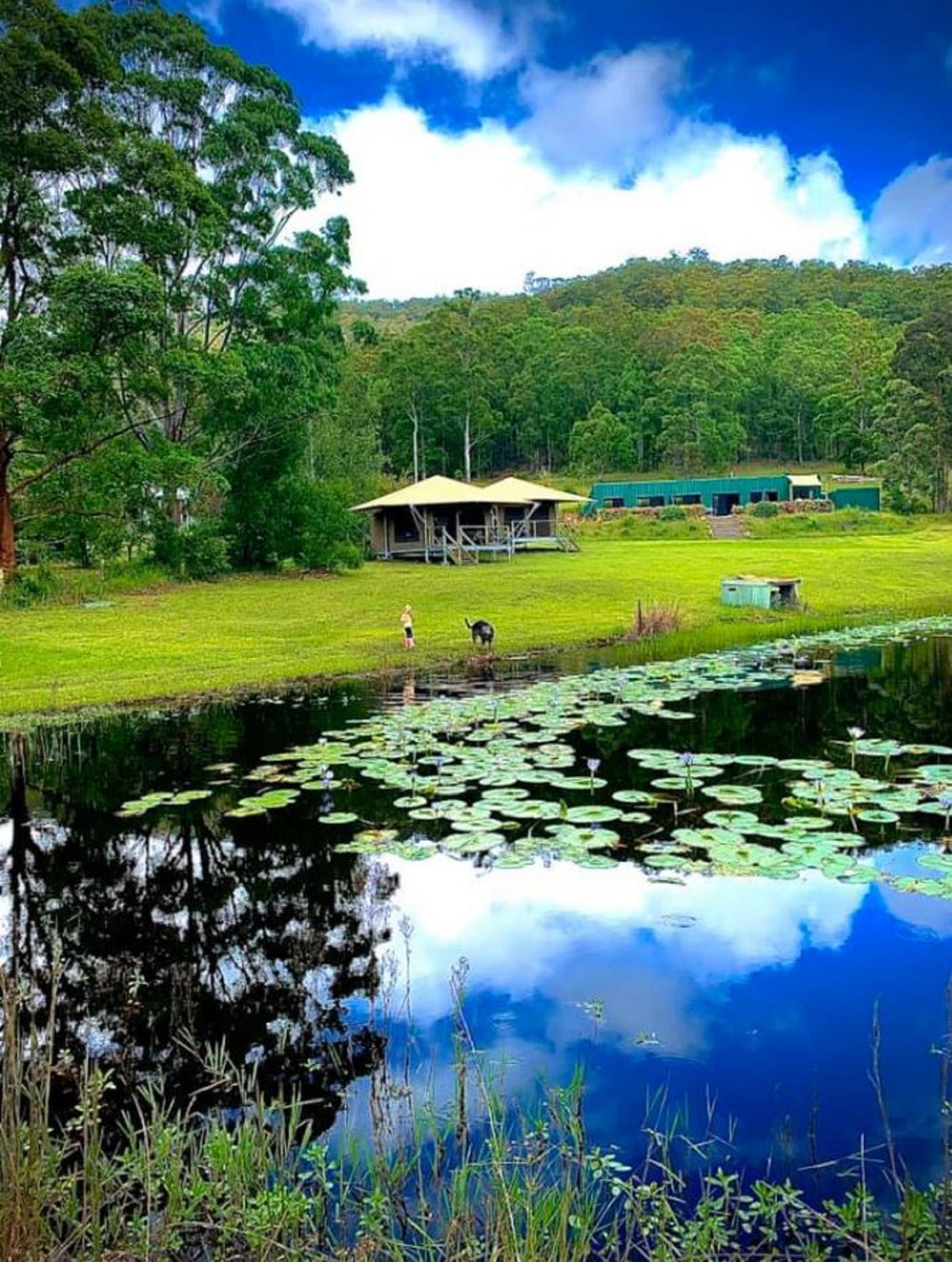 Warranulla NSW Nambucca Heads Accommodation