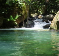 Daintree Secrets Rainforest Sanctuary