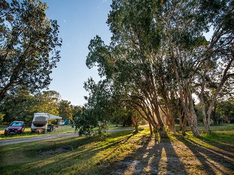 Delicate Campground - Nambucca Heads Accommodation 0