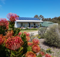 Frangipani Cottage - Nambucca Heads Accommodation