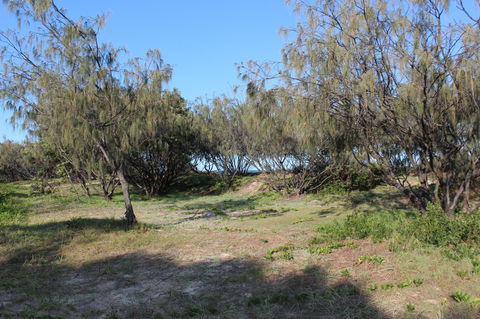 K'gari (Fraser Island) Camping, Great Sandy National Park - Nambucca Heads Accommodation 1