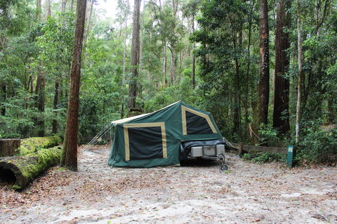 K'gari (Fraser Island) Camping, Great Sandy National Park - Nambucca Heads Accommodation 2