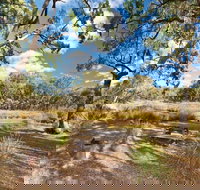 Kings Plains Creek campground - Nambucca Heads Accommodation