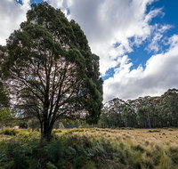 Nunnock campground - Nambucca Heads Accommodation