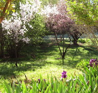 Sofala Cottage - Nambucca Heads Accommodation