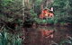 Woodlands Rainforest Retreat - thumb 0