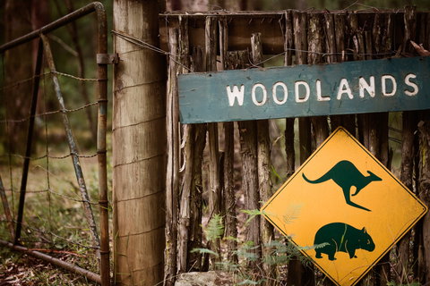 Woodlands Rainforest Retreat - Nambucca Heads Accommodation 1