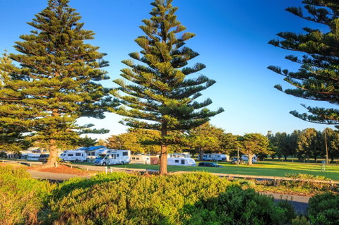 Beachport Caravan Park - Nambucca Heads Accommodation 1