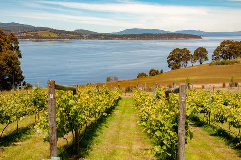 Beaupre Farm - Nambucca Heads Accommodation 0