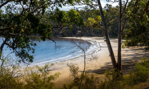 Beaupre Farm - Nambucca Heads Accommodation 1