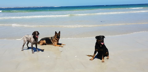 BIG4 Warrnambool Figtree Holiday Park - Nambucca Heads Accommodation 2